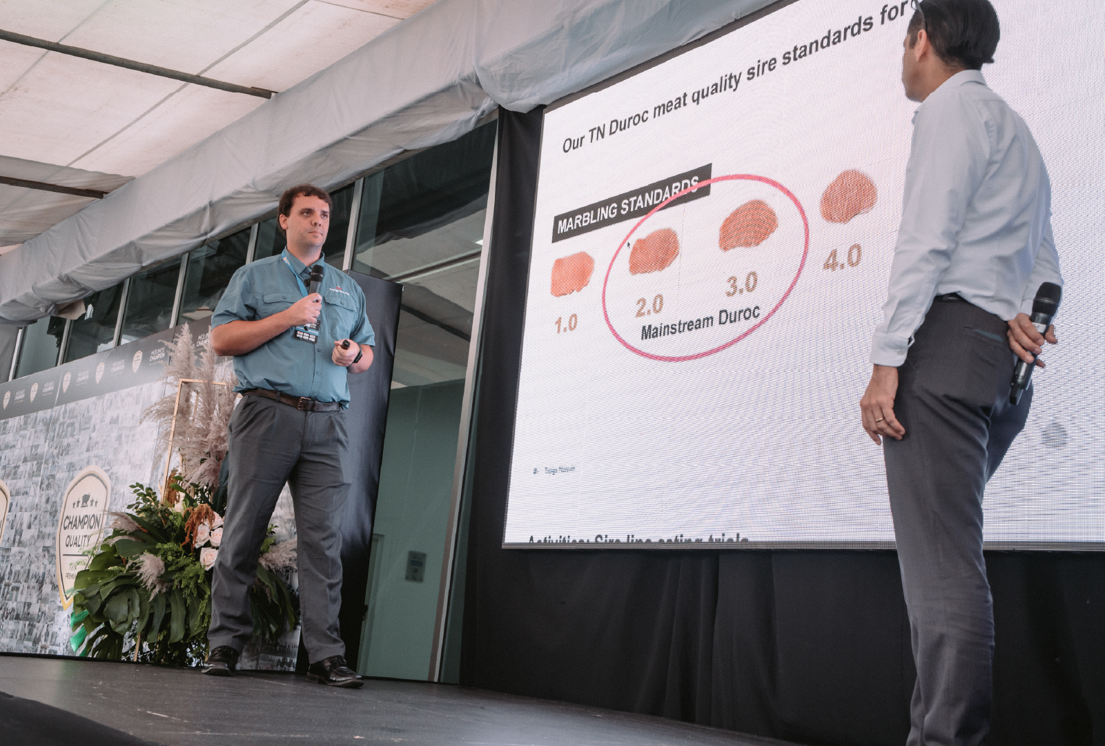 champion-quality-cerdos-premium-004